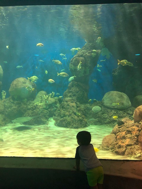 Celebrating Our Clients: Part 3